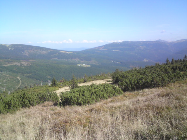 DSC01690