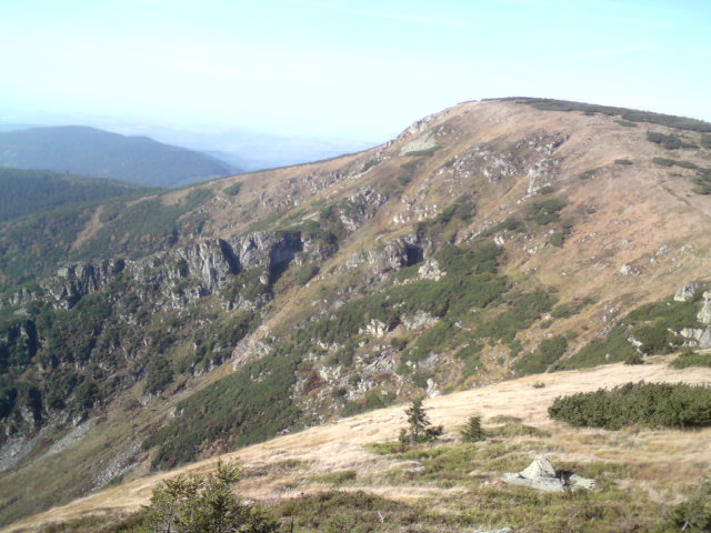 DSC01709